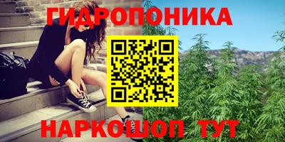 сатива Сланцы