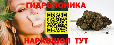 сатива Сланцы