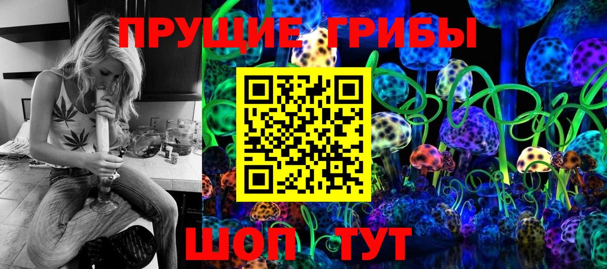 Галлюциногенные грибы Psilocybe Новосибирск